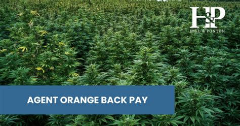 the process takes about 1 1/2 years but if you are given a disability they will <b>pay</b> you <b>back</b> dated to the date of the original. . Agent orange compensation back pay